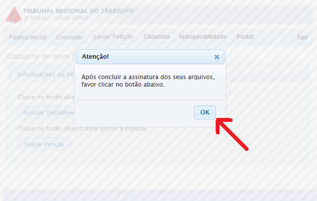 Após concluir a assinatura clicar em Ok.