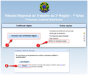 121-pje-assinador-acessar-com-certificado-digital.png