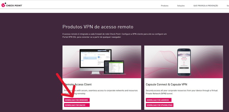 download-checkpoint2.JPG Segunda janela de download do checkpoint software com seta indicando clique no botão "Download".