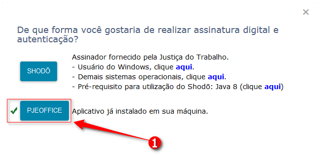 Janela com o tipo de assinatura digital: clicar em PJeOffice