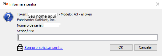Tela de inserção da senha/pin do token