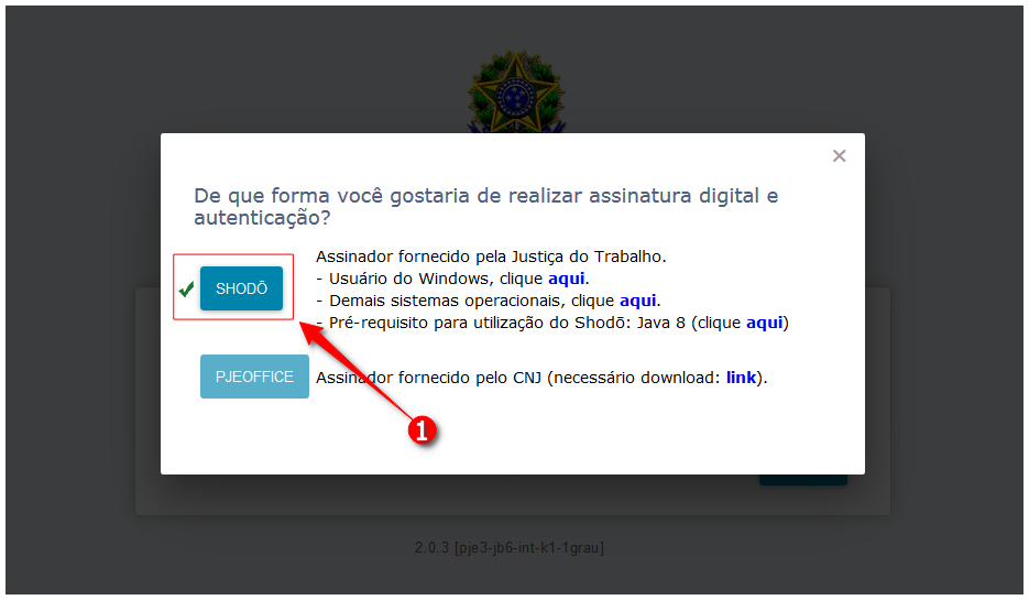Janela de seleção do assinador: clicar em Shodô
