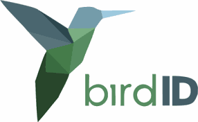 Imagem do logo do Bird ID