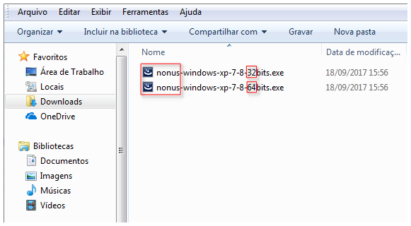 Janela do windows explorer - arquivo nonus