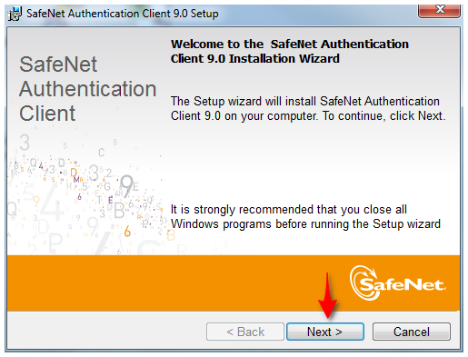 safenet - instalar 2