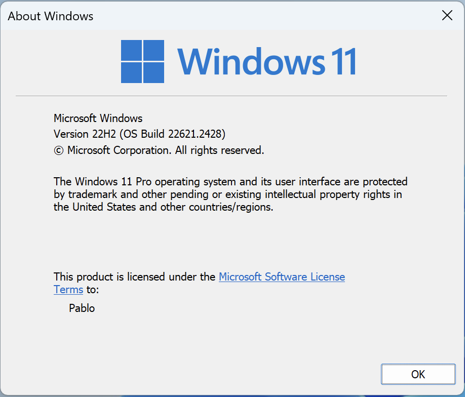 Tela de versionamento do Windows 11