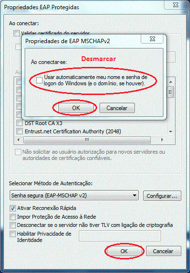 Desmarcar a opção 'Usar automaticamente meu nome e senha de logon do Windows' e clique em ok